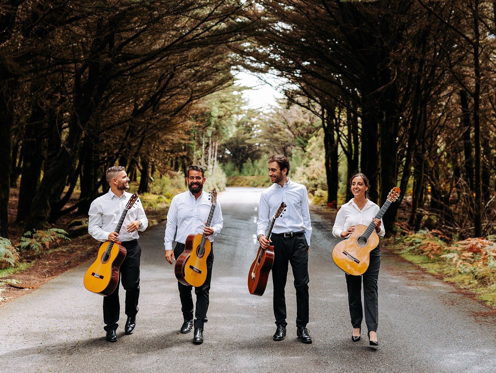 All Events! Madeira Concerts / Shows / Live Music!