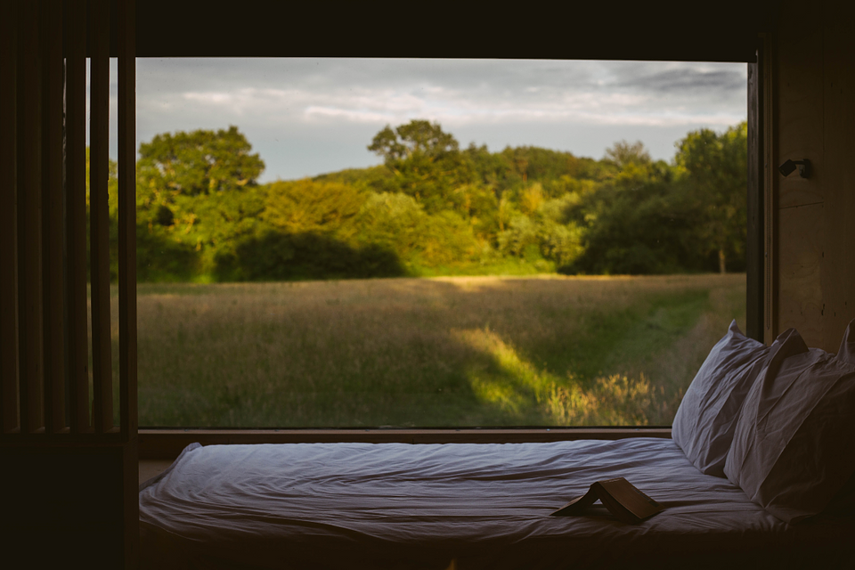 Unplugged Digital Detox Cabins in Nature