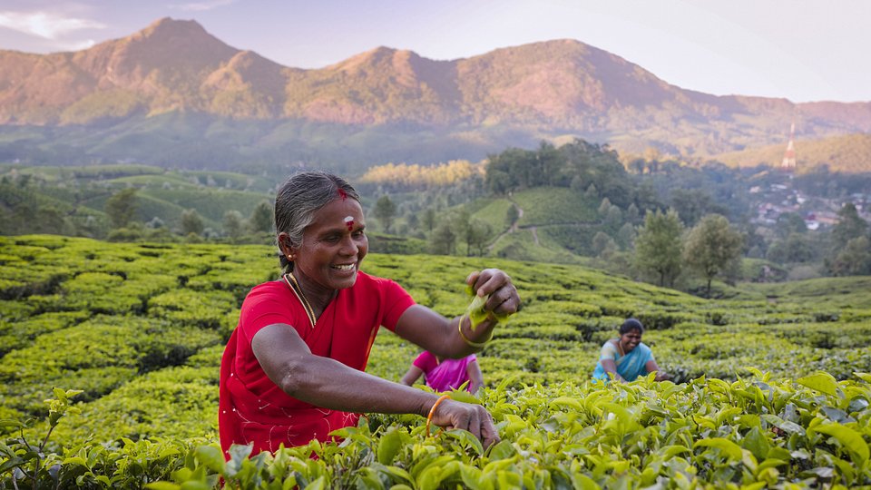 Women Solo Group Travel To India Girls Guide To The World women-solo-group-travel-to-india-girls-guide-to-the-world
