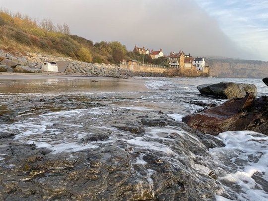 Rocky shore